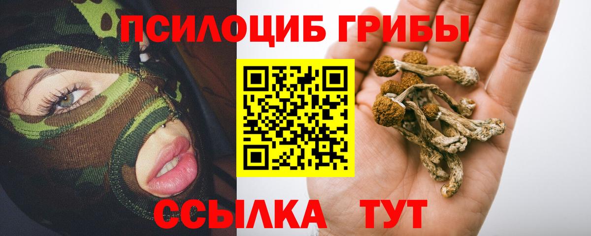 Галлюциногенные грибы MAGIC MUSHROOMS Рассказово
