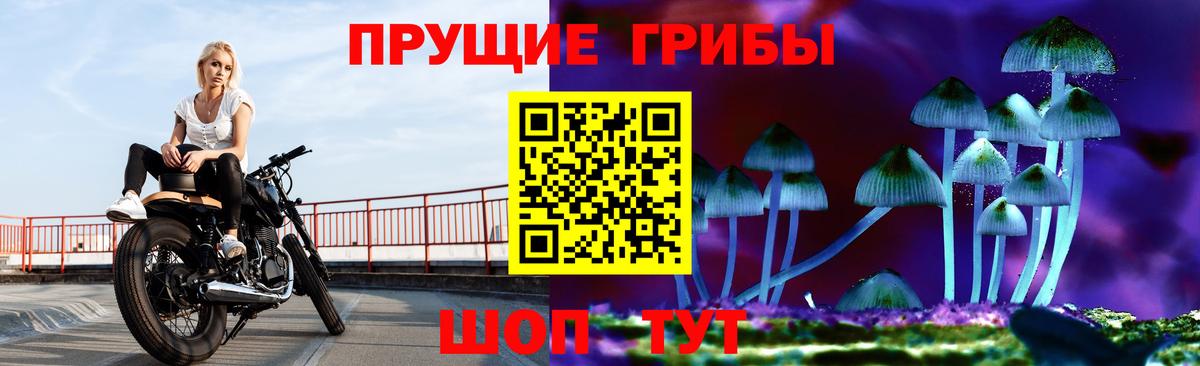 где можно купить наркотик  Вход с VPN  Рассказово  Галлюциногенные грибы GOLDEN TEACHER 