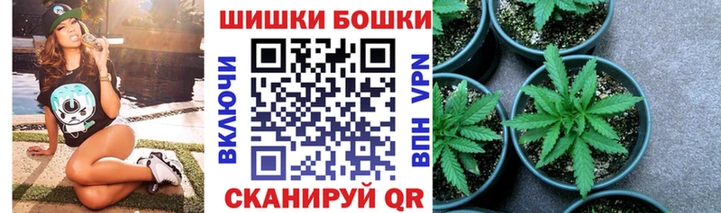 Конопля ГИДРОПОН Рассказово